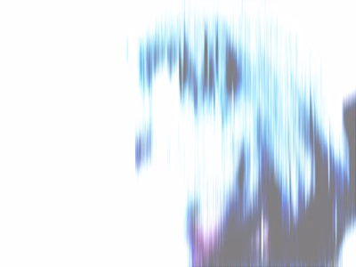 ev081d