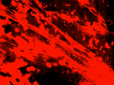 0005