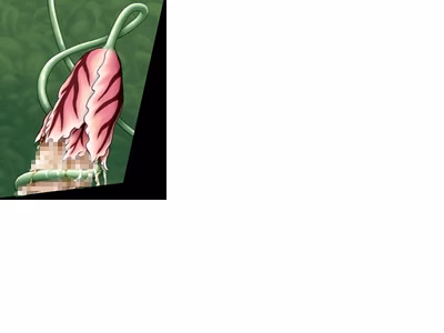 ev_fairy_ct02