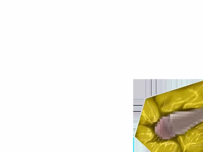ev_highslag_ct01