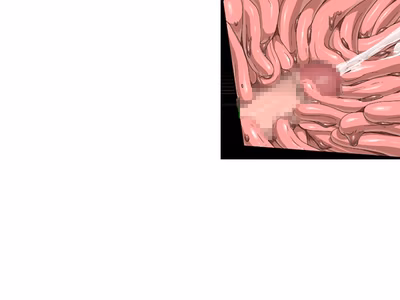 ev_meda_ct02