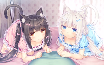 006_neko4_cs01b