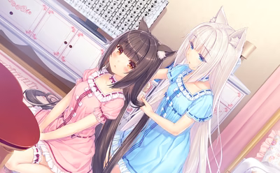 027_neko4_cs04h