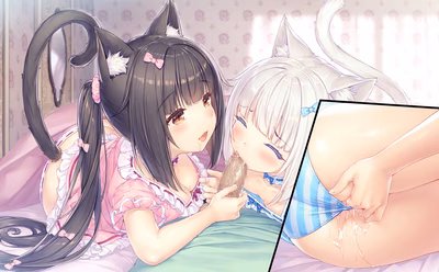 051_neko4_h01j