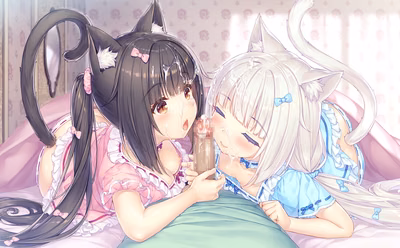 056_neko4_h01o