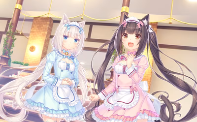 235_neko4_an01a