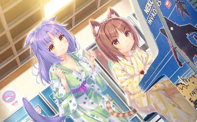 258_neko4_an10a