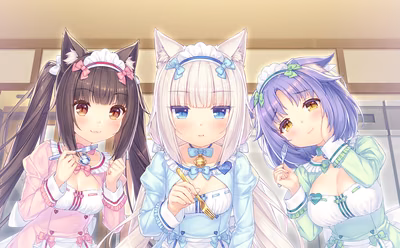 281_neko4_an17a