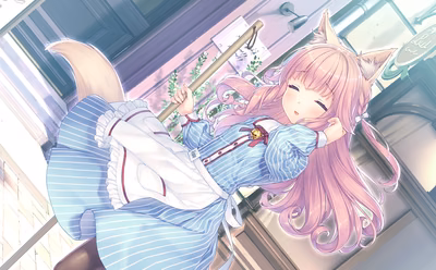 294_neko4_an22c