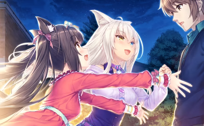 317_neko4_an31a